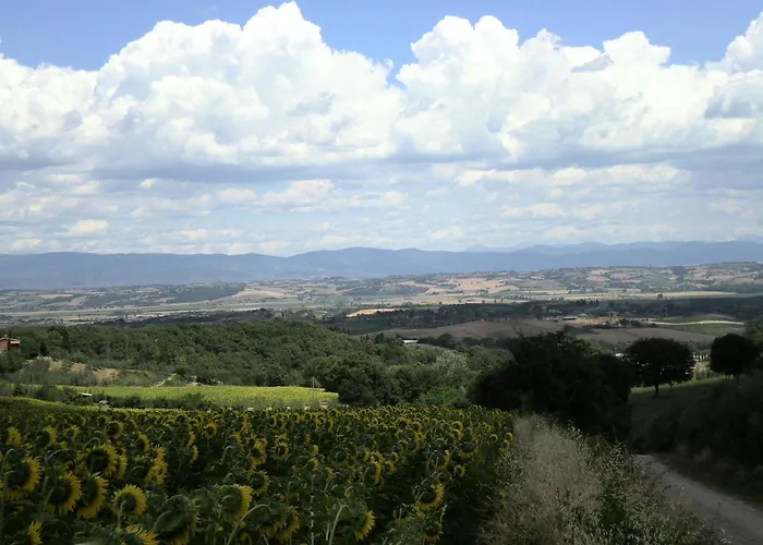 Hotel Sangallo B&B