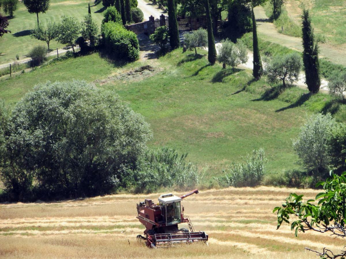 Sangallo Montepulciano