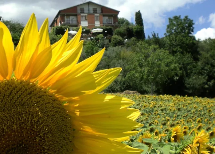 Hotel Sangallo B&B