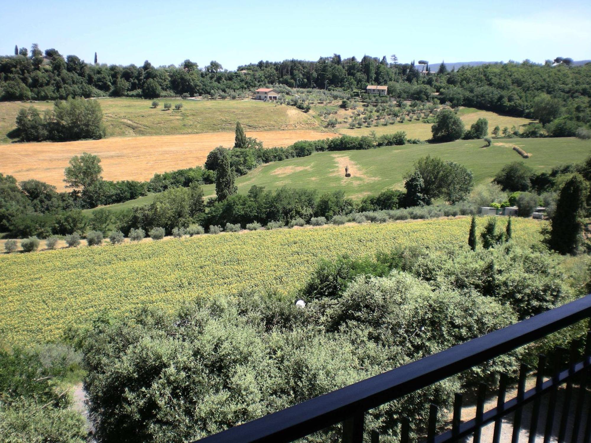 Sangallo